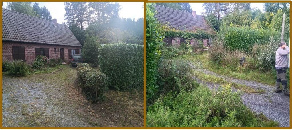 Remise en état jardin 1