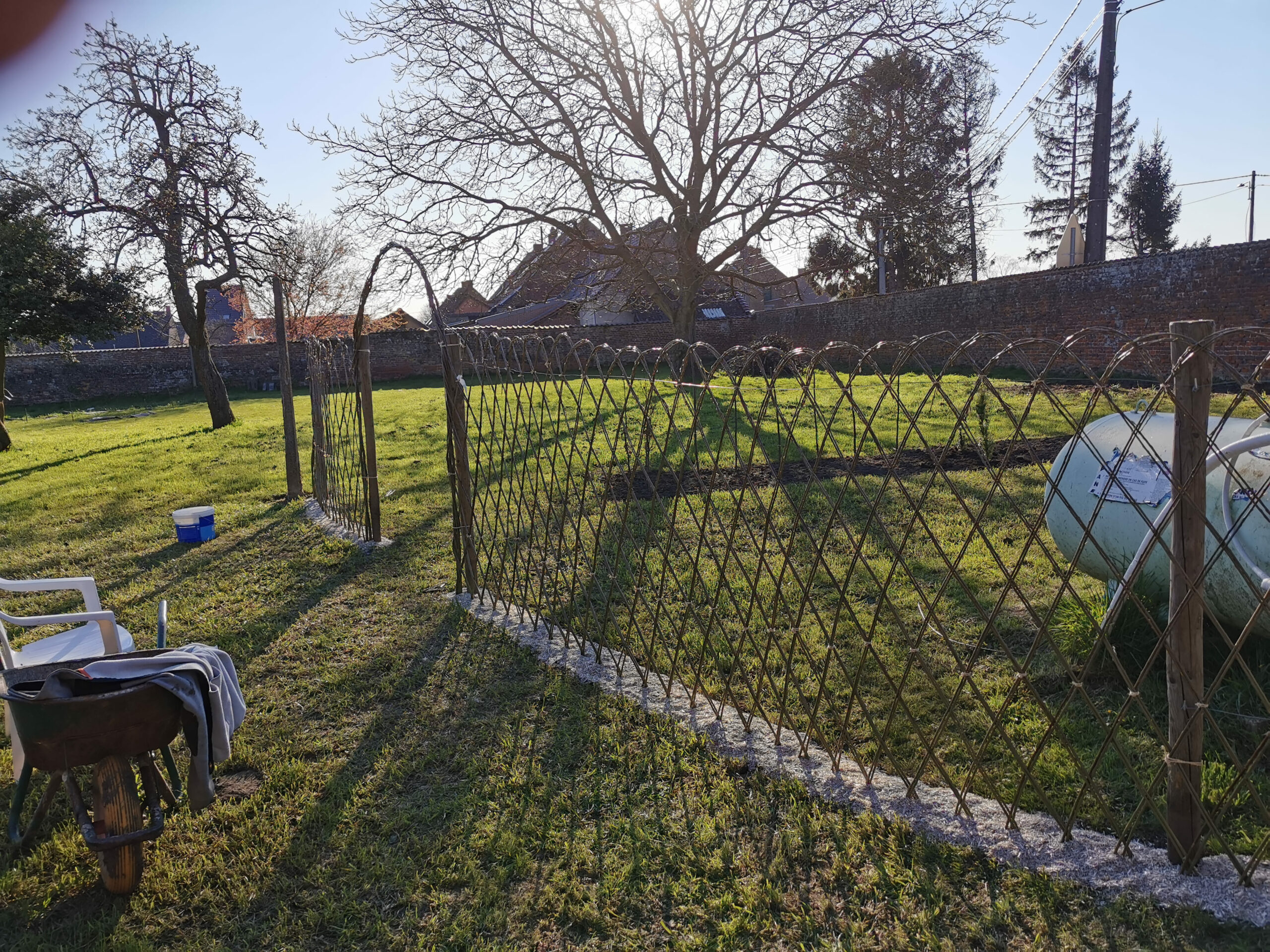 haie saule tressé 2