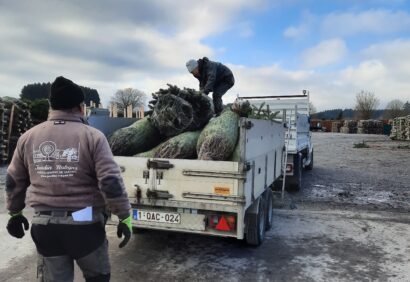 Chargement sapins 3