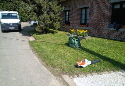 Tonde pelouse + jonquille