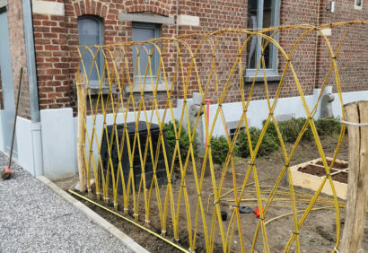 haie saule tressé 1