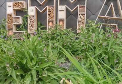 hotel insecte lettre