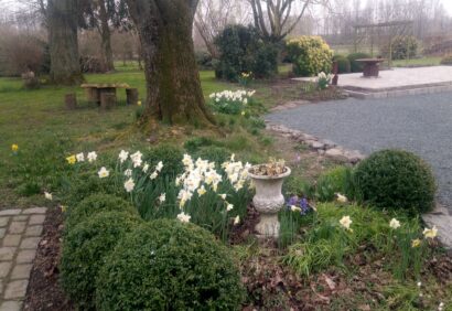 jardin printemps tulipes