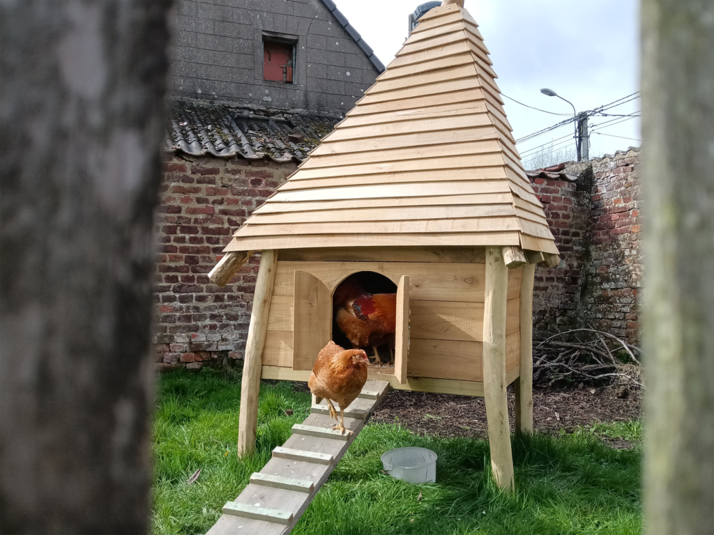 Poulailler exemple atelier RObyns